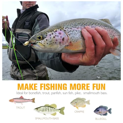 Dovesun Fly Fishing Lures Fly Fishing Flies Wet Fishing Flies Fishing Lures Fishing Spinner for Bass Sunfish Pike Trout 5PCS/10PCS - color: Tandem-5pcs, size: Hook Size 14#