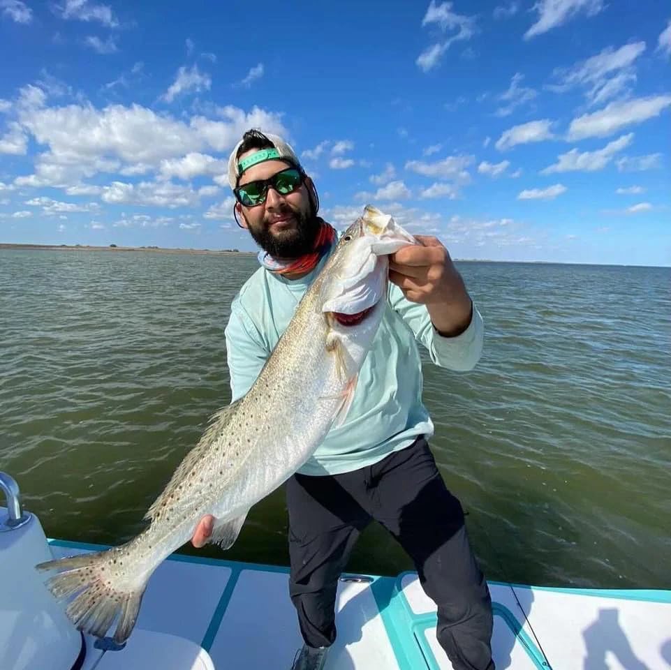 A.M. Fishing Curly Tail Jerkshad 4 Inch Soft Baits Garlic Infused,– 8 Pack – Saltwater & Freshwater Fishing Lures for Bass, Redfish, Snook, and Trout - color: Garlic Glowstick