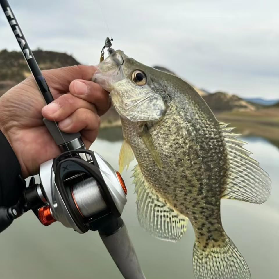Onzz 200RH Baitcast Reel,Baitcasting Fishing Reel, 9.5 oz Ultra Lightweight, Ultra Smooth 8KGS Max Drag, 6.3:1 Gear Ratio, 10 + 1 MaxiDur Double Shielded Ball Bearings
