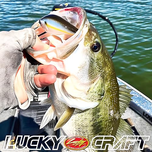 LUCKY CRAFT LC 2.5 Silent Crankbait Fishing Lures, 2-3/8” Squarebill Crankbait, Bass Lures, Floating 4ft Depth Hard Bait, Champion Freshwater Fishing Gear and Tackle Box Accessories - color: 345 Delta Crazy Red Craw