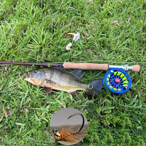 EUPHENG Barbless Fly Fishing Hooks Dry Nymph Wet Shrimp Jig Hooks for Fly Tying Assorted with Waterproof Hook Box - style: 9251-shrimp & Pupa Fly Hooks Qty 200