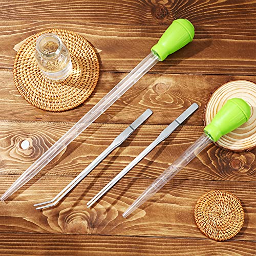 Weewooday 2 Pieces Aquarium Coral Feeder with 2 Pieces Stainless Steel Feeding Long Tweezers Syringe Spot Coral Feeder Reptile Feeding Tools for Aquatic Plant Reef Anemones Lionfish (Green, Silver) - color: Green, Silver
