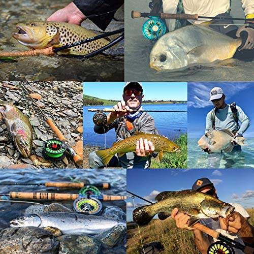 Maxcatch Fly Boxes For Fly Fishing Double Side Waterproof Fishing Tackle Box (Olive (4 Split Foam Inserts), 5.9inch x4.1inch x1.7inch)