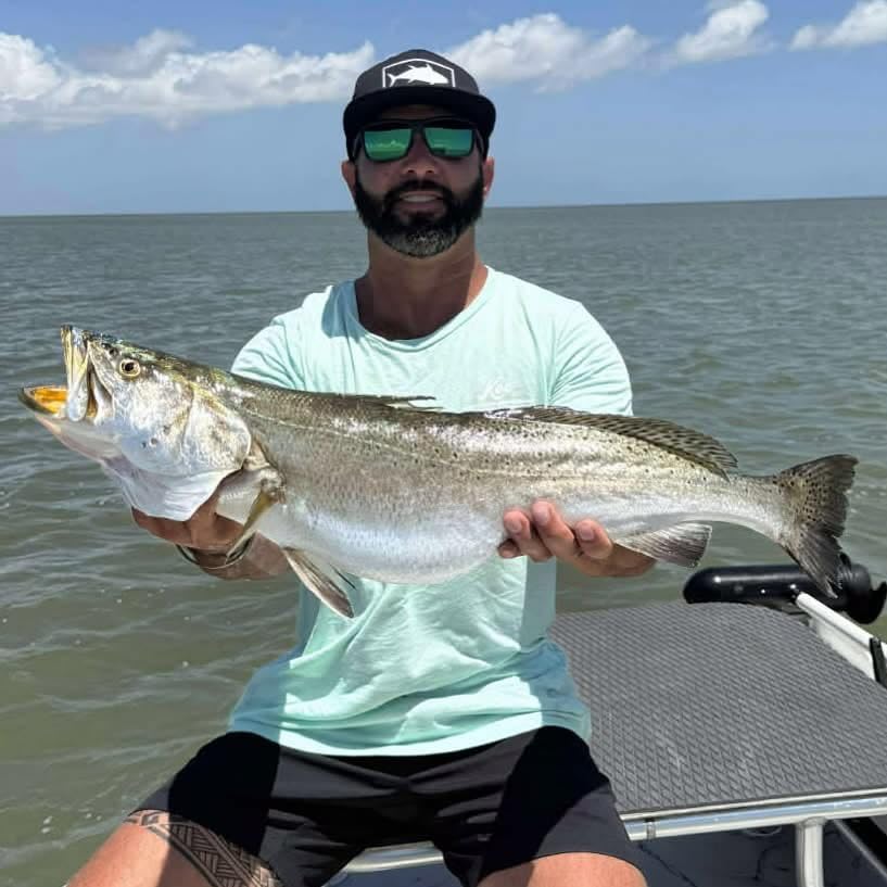 A.M. Fishing Curly Tail Jerkshad 4 Inch Soft Baits Garlic Infused,– 8 Pack – Saltwater & Freshwater Fishing Lures for Bass, Redfish, Snook, and Trout - color: Watermelon Red Chartreuse