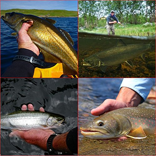 Fly Fishing Rod and Reel Combo, Lightweight Portable 4-Piece Fly Fishing Rod, 5wt Aluminum Fly Reel with Pre-Loaded Lines 28pcs Flies with a Waterproof Fly Box Complete Starter Kit