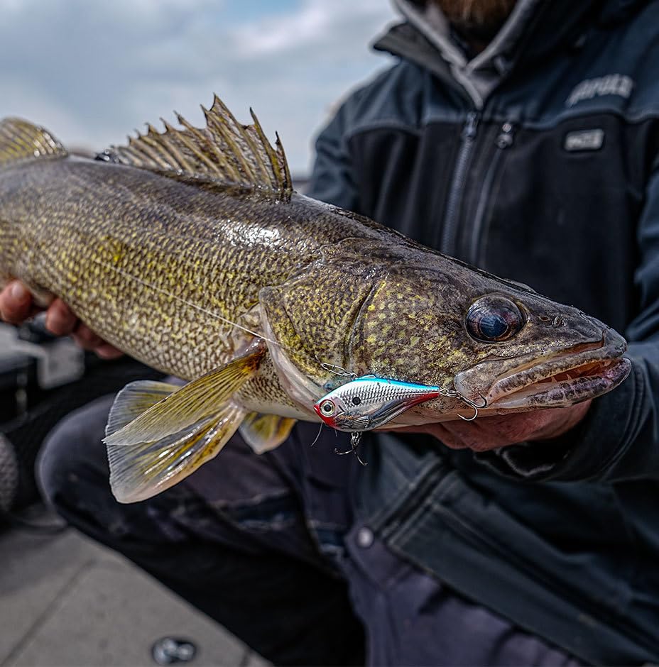 Rapala Rapala Rippin ' Rap - color: Pearl Grey Shiner, size: 2-3/4"