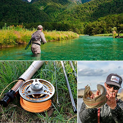 Sougayilang Fly Fishing Reel Large Arbor 2+1 BB with CNC-machined Aluminum Alloy Body and Spool in Fly Reel - size: 7/8 Reel