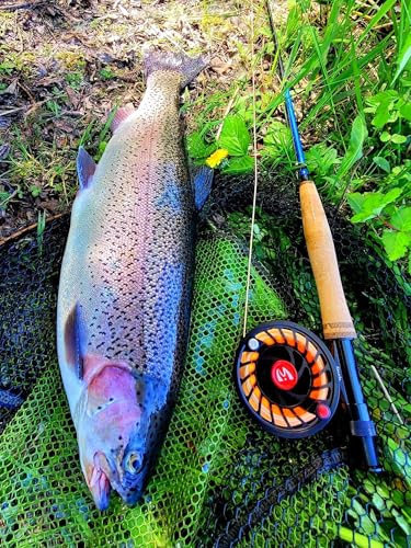 Maxcatch Extreme-X Fly Fishing Rod and Reel Combo, 3-8wt Complete Starter Fishing Outfit with Fly Box, Flies, Rod Clip Holder, Rod Case, Extra Tip Section - size: 6wt-9' 4pc Rod, 5/6wt Reel