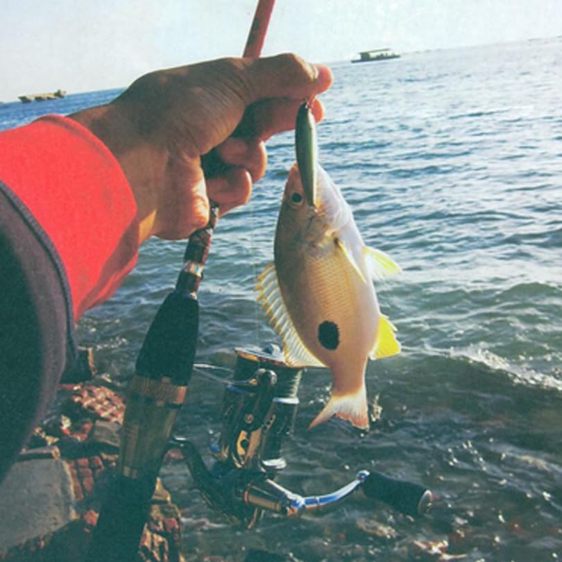 8pcs Fishing Lures Set Minnow Swimbait Baits, Artificial Minnow Lifelike Lures, Fishing Tackle Crank Bait for Trout Bass Salmon