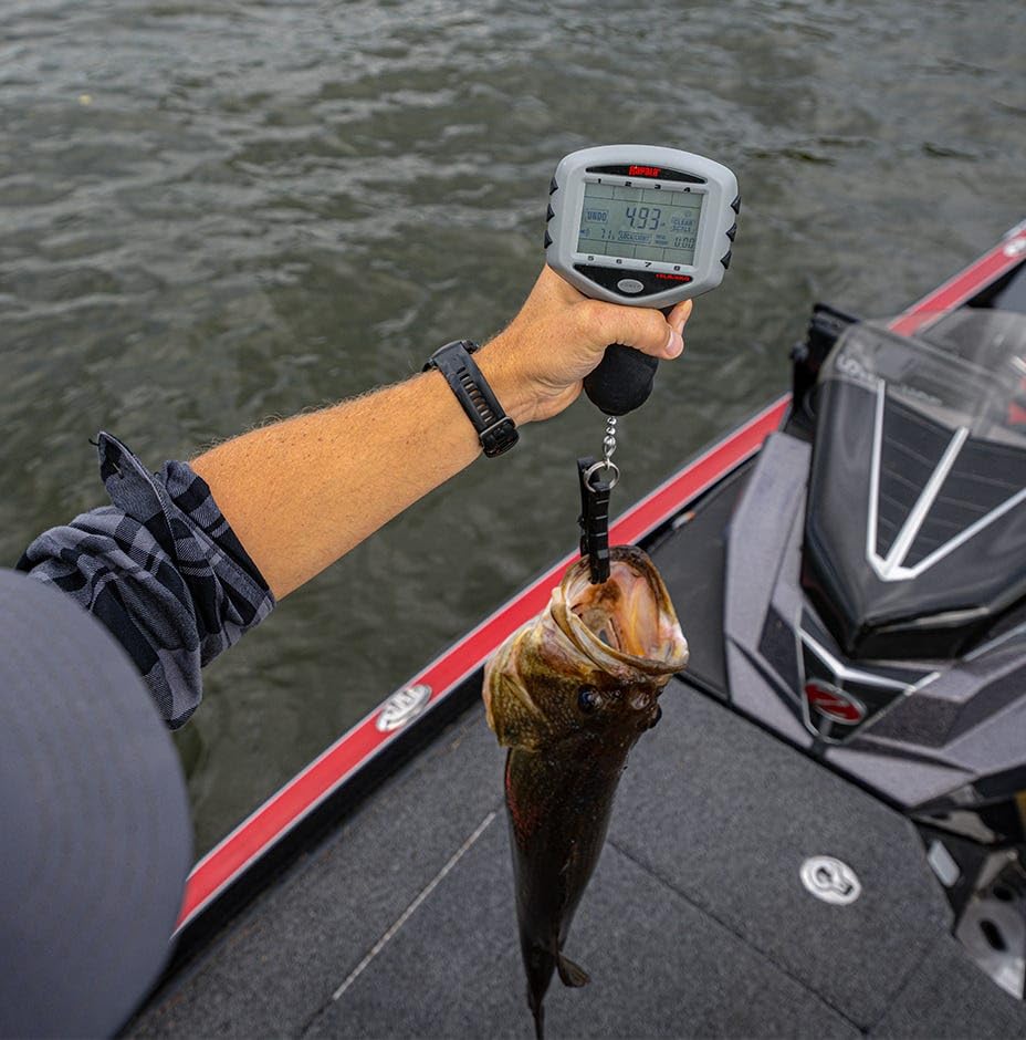 Rapala Touch Screen Tourney Scale 15 lb, Digital Fishing Scale with Memory Storage, Water-Resistant Design and Built-in Fish-Friendly Gripper, Includes 8-Piece Culling System