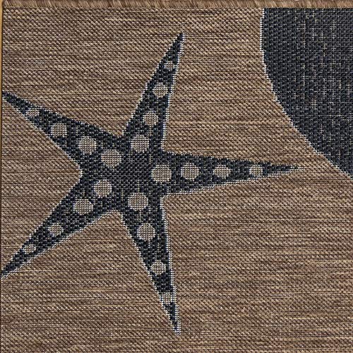 Gertmenian Indoor/Outdoor Flatweave Area Rug - 5x7 Standard, Stain & UV Resistant, Ideal For Deck, Patio, Poolside, Mudroom - Sand Dollar Starfish, Nut Brown/Black, 21966 - color: Sand Dollar Starfish Nut Brown Black, size: 5'3" x 7' (Rectangular)