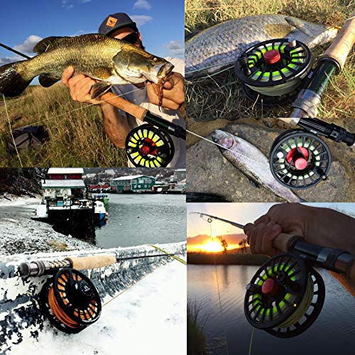 Maxcatch AVID Fly Fishing Reel with CNC-machined Aluminum Body - 1/3, 3/4, 5/6, 7/8, 9/10 Weights(Black, Green, Blue) - color: Fly Reel Matte Black, size: 5/6wt
