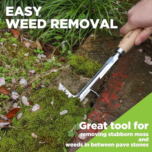 WORKPRO Crack Weeder, 12" Stainless Steel Crevice Weeding Tool Weeder Tool | Beech Wood Handle, L-Shaped Side-Walk Weed Puller Spatula, for Garden Lawn Yard Patio Terrace Paving Moss