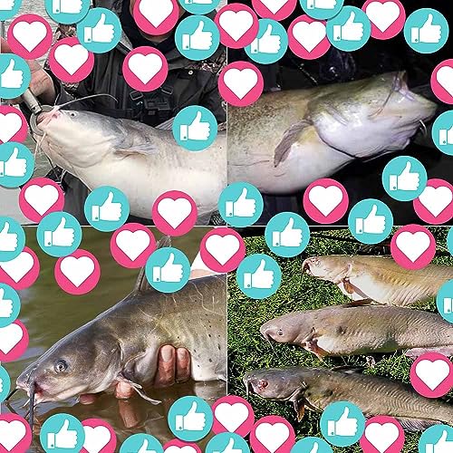 Catfish-Rig-for-Bank-Fishing-Catfishing-Tackle-Floats-with-Rattler-Santee Cooper Rig Equipment - color: Green-4 Pack, size: 2.5 inch