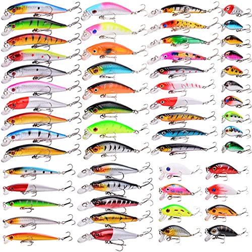 Aorace Fishing Lures Kit Mixed Including Minnow Popper Crank Baits with Hooks for Saltwater Freshwater Trout Bass Salmon Fishing - color: Item-E 56pcs