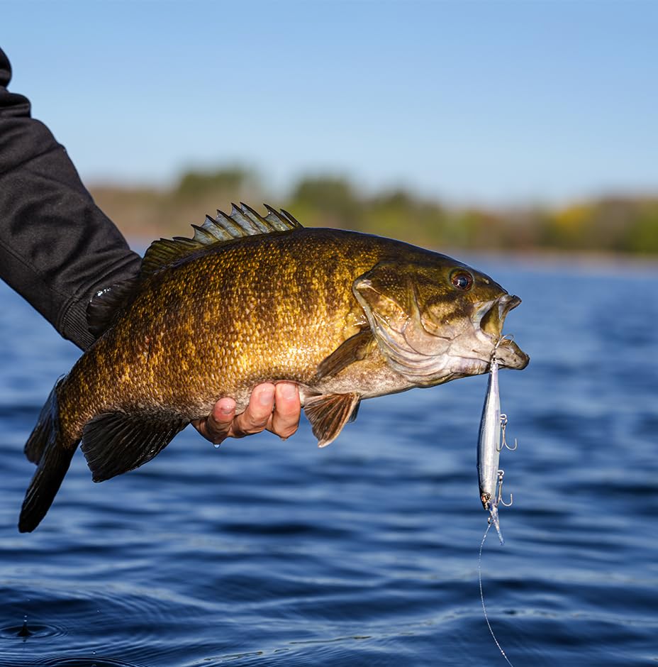 Rapala Precision Xtreme Deep Mavrik Jerkbait - color: Crystal Shad