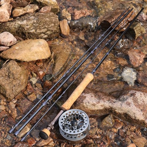 Sougayilang 5/6 Weight 9ft Fly Rod, 4-Piece Graphite Rod, Die Cast Aluminum Reel, Carrying Case, Fly Box & Fishing Flies Combo Starter Kit - color: Fly Fishing Combo #8-Silver