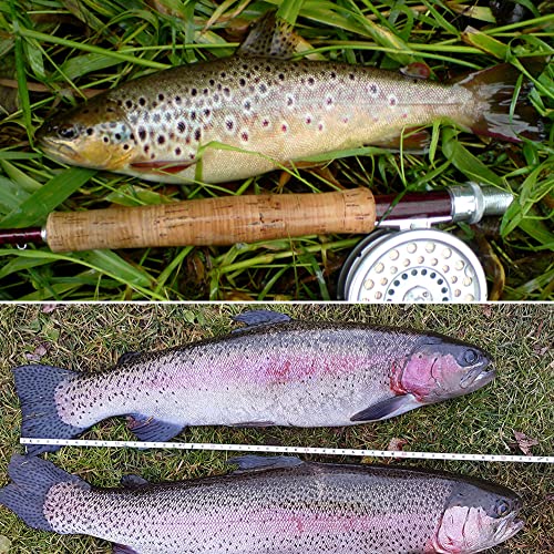 YZD Realistic Fly Fishing Dry Wet Nymph Trout Flies Topwater Lures for Freshwater Saltwater High Simulation Hand Tie Lure Kits - color: 21-A-05