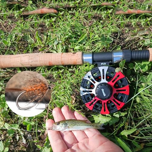 EUPHENG Barbless Fly Fishing Hooks Dry Nymph Wet Shrimp Jig Hooks for Fly Tying Assorted with Waterproof Hook Box - style: 9221-wet Hooks Qty 200