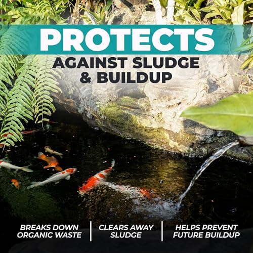 Natural Pond Care Ball – Easy Drop-in Maintenance for Outdoor Ponds and Water Features, Suitable for Fish & Plants, Up to 2500 Gallons – 4 Week Use