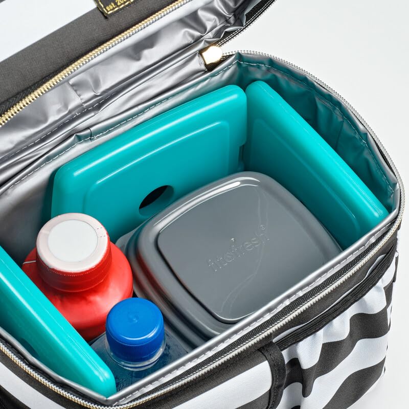 Cool Coolers by Fit + Fresh, Reusable & Long-Lasting Slim Ice Packs, Cold Packs for Lunch Boxes, Ice Packs for Lunch Bags, Green 8 Pack - color: Green (8 Pack)