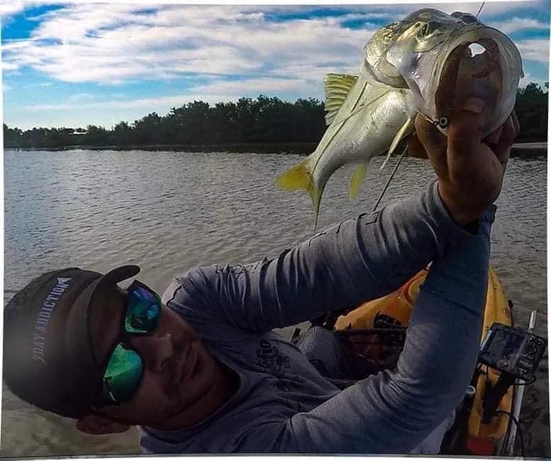 A.M. Fishing Curly Tail Jerkshad 4 Inch Soft Baits Garlic Infused,– 8 Pack – Saltwater & Freshwater Fishing Lures for Bass, Redfish, Snook, and Trout - color: Toxic Rootbeer