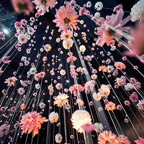 Clear Fishing Wire, Acejoz 656FT Fishing Line Clear Invisible Hanging Wire Strong Nylon String Supports 40 Pounds for Balloon Garland Hanging Decorations - style: 0.3mm, 656ft, 17lb