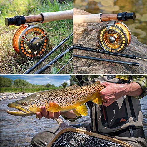 Sougayilang Fly Fishing Reel Large Arbor 2+1 BB with CNC-machined Aluminum Alloy Body and Spool in Fly Reel - size: 7/8 Reel