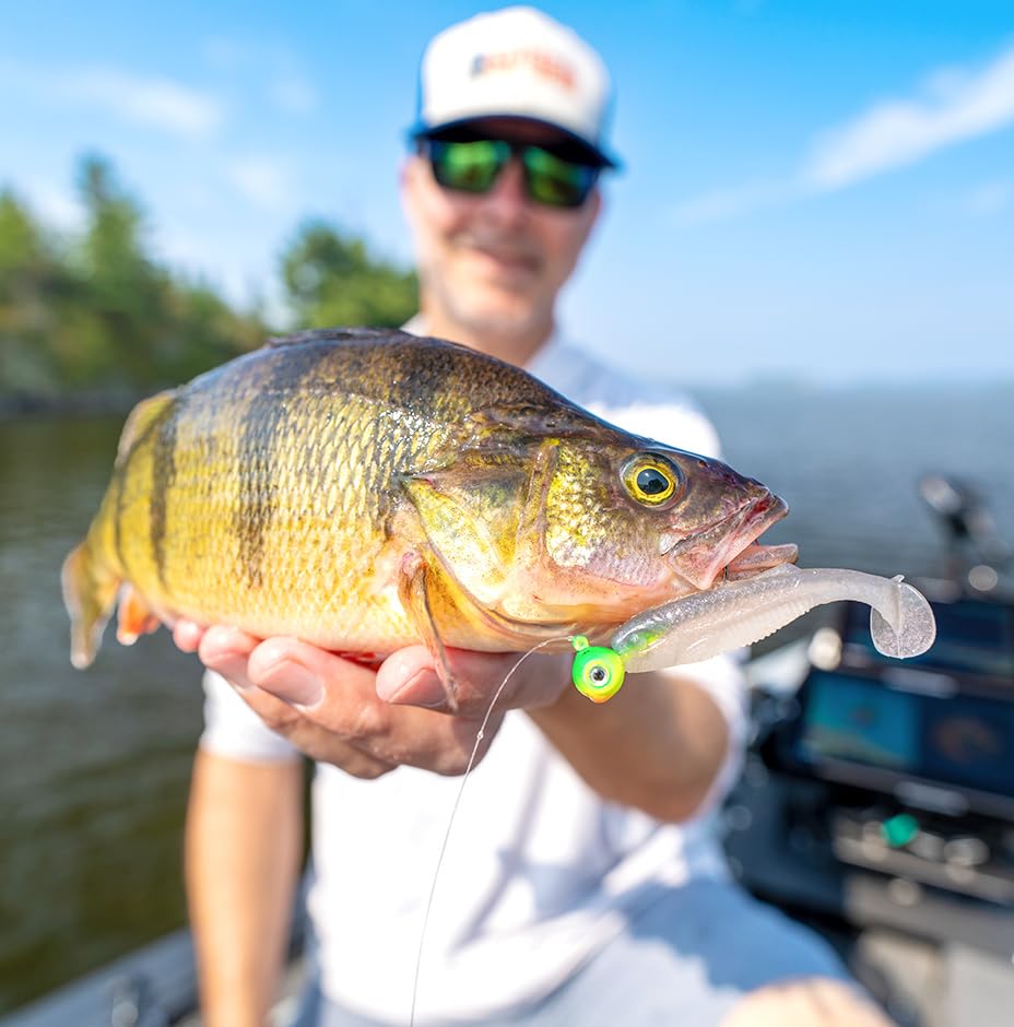 Rapala CrushCity Mayor Soft Plastic Paddle Tail Swimbait, Strong Kicking Action for Swim Jigs & Underspins, Bass, Redfish, Trout, Snook, Walleye & More - color: Green Pumpkin Disco, size: 2.5"