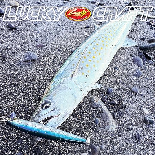 LUCKY CRAFT FlashMinnow 130MRS Saltwater Fishing Lures, Jerkbait for Halibut and Bass Fish, Slow Sinking 2-4ft, Surf Fishing Gear and Tackle Box Accessories - color: 770 MS Green Herring