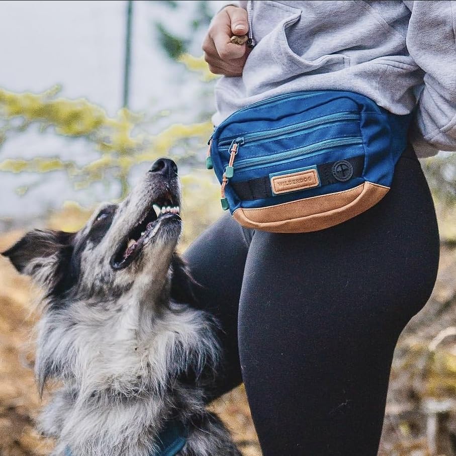 Wilderdog Utility Fanny Pack stores Treats, Balls, Keys in 3 Pockets with adjustable strap and Poop Bag dispenser (Pacific Blue) - color: Pacific Blue